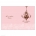 Chantilly Chandelier Pink Service Cover
