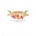 Flouncy Floral Favour Tag
