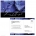 Heavenly Hydrangea RSVP Postcard