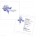 Hydrangea Happiness Wedding Invitation