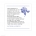 Hydrangea Happiness Gift Registry Card