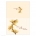 Orchid Belle Thank You Card