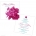 Peony Pop Wedding Invitation