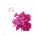 Peony Pop Table Number Set