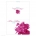 Peony Pop Thank You Card