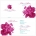 Peony Pop Wedding Invitation