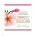 Pink Frangipani Gift Registry Card