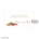 Touch Of Tulips Favour Tag