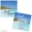 Tropic Oasis Wedding Invitation