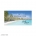 Tropic Oasis Favour Tag