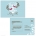 Two Little Birds Blue RSVP Postcard