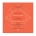 Orange Ornate Wedding Invitation